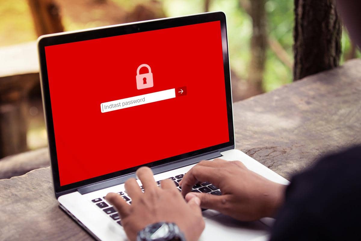 Computer cybersikkerhed